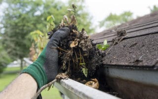 Roof & Gutters