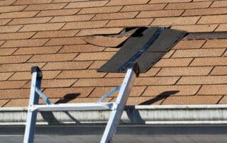 signs of roof damage in Annapolis