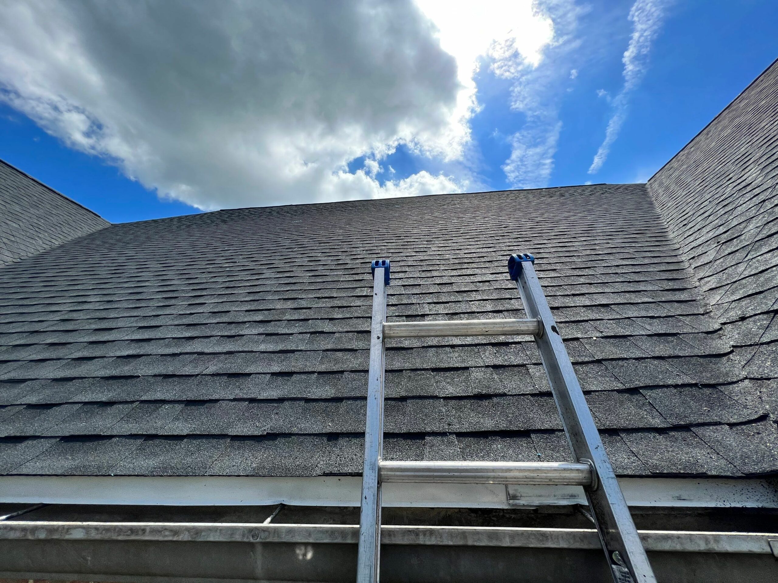 asphalt shingle roof detail