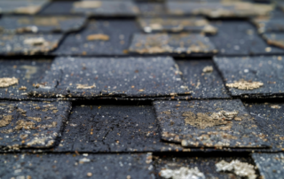 Roof Blistering Vs Hail Damage